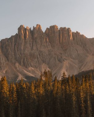 Ormanın manzarası ve İtalya 'nın kırsalındaki kayalık Dolomite dağları.