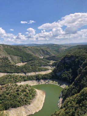 Sırbistan 'daki yeşil santraller boyunca akan bir nehirle Uvac Kanyonu' nun dikey çekimi