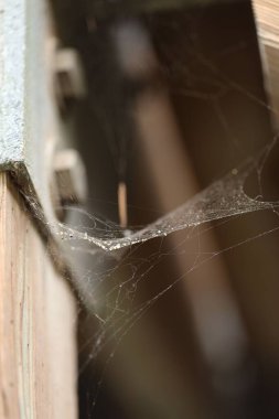 Üzerinde su damlaları olan bir odanın köşesindeki örümcek ağına dikey yakın plan.