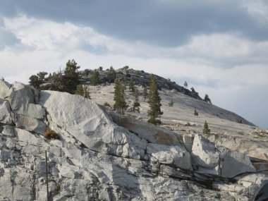 Yosemite Ulusal Par 'ında dağ ve ağaçlar