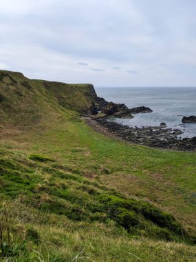 Kasvetli bir günde Causeway kıyısındaki İnek Koyu 'nun dikey hali, Bushmills, Kuzey İrlanda