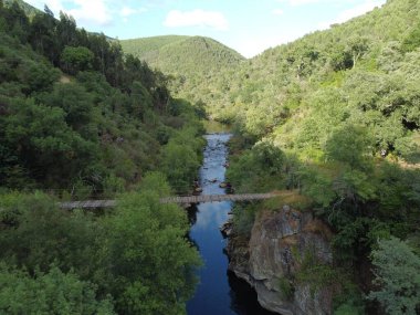 Nehir üzerinde ahşap bir köprü ve baharda ağaçların havadan görünüşü.
