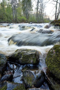 Kayaların üzerinde hafif bir su akıntısı