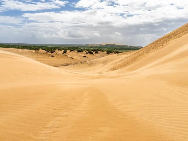 Paysage Naturel Dunes Sable — Photo