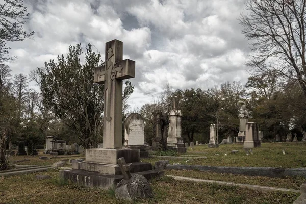 Historyczny Cmentarz Oakdale Wilmington Karolina Północna — Zdjęcie stockowe