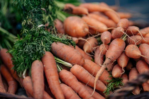 Closeup Shot Pile Fresh Ripe Carrots — Stock Photo, Image