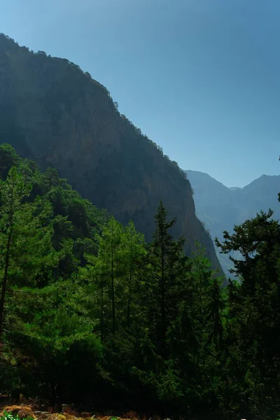 stock image A vertical shot of green fir trees in front of the mountains shadowed by the sun in a park in Greece