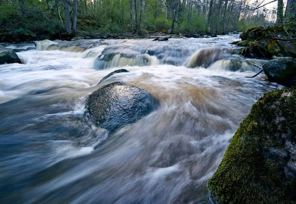Река Протекающая Через Зеленый Лес — стоковое фото