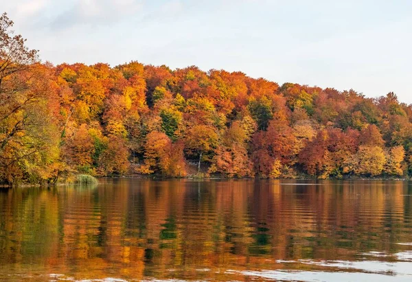 Piękny Krajobraz Jesiennego Lasu Brzegu Jeziora — Zdjęcie stockowe