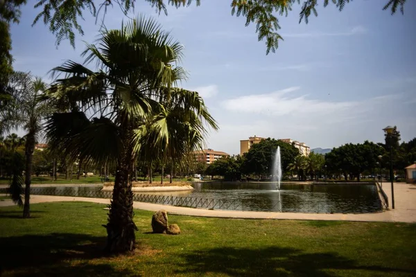 Scenic View Fountain Lake Green Park Palm Tree Sunny Day — Stock Photo, Image