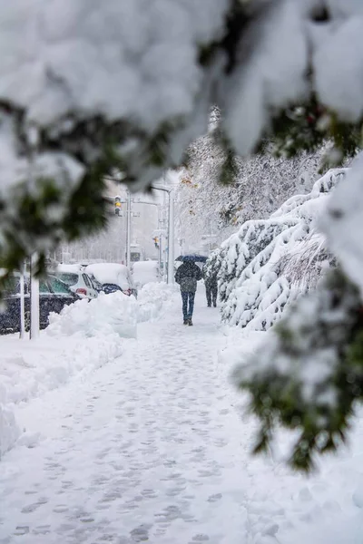 Tiro Vertical Uma Pessoa Andando Com Guarda Chuva Clima Nevado — Fotografia de Stock