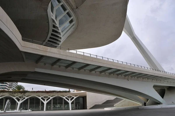 Valencia, İspanya 'da bulutlu bir günde güzel bir sanat ve bilim sahnesi.