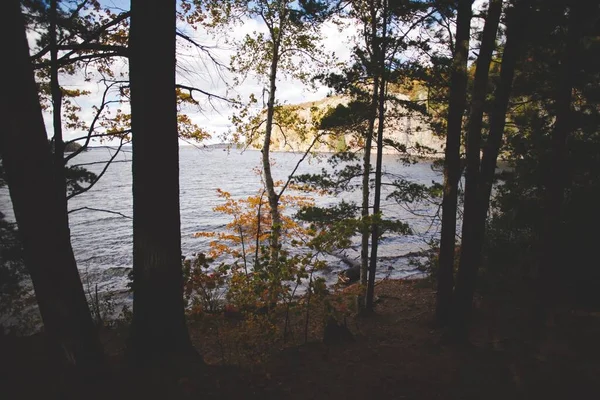 Красивый Вид Озеро Возле Леса Онтарио Канада — стоковое фото