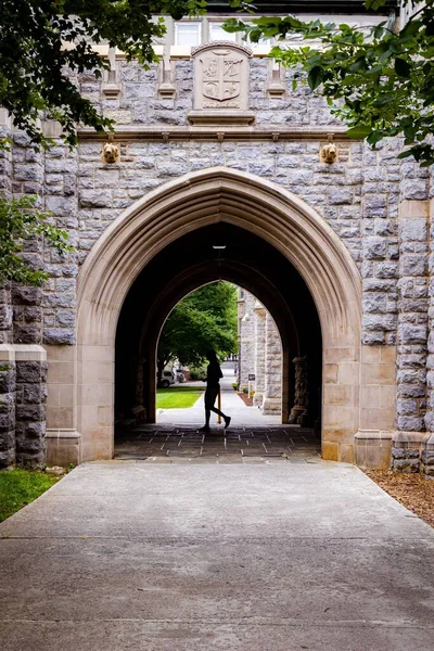 Plan Vertical Une Arche Virginia Tech — Photo