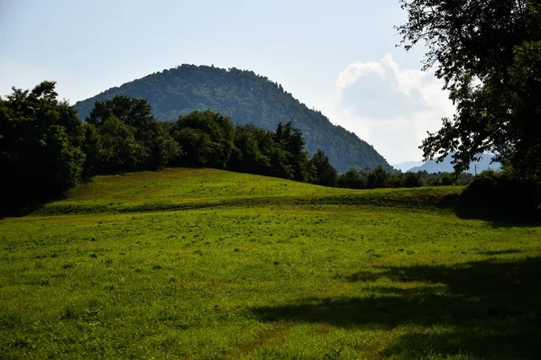 Een Landschap Van Een Groen Veld Met Bomen Heuvel Achtergrond — Stockfoto
