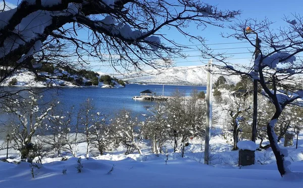 Widok Powietrza Piękny Las Pobliżu Jeziora Zimie Neuquen Argentyna — Zdjęcie stockowe
