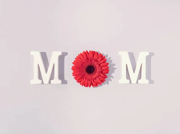 Palabra Mom Hecha Con Una Flor Margarita Roja Letras Decorativas — Foto de Stock