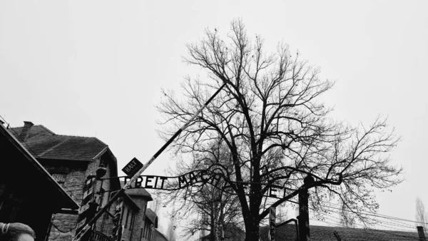 Een Laaghoekig Grijs Zicht Ingang Van Concentratiekamp Auschwitz Oswiecim Polen — Stockfoto