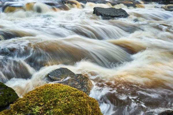 Ormanda Akan Bir Nehrin Yakın Çekim Görüntüsü — Stok fotoğraf