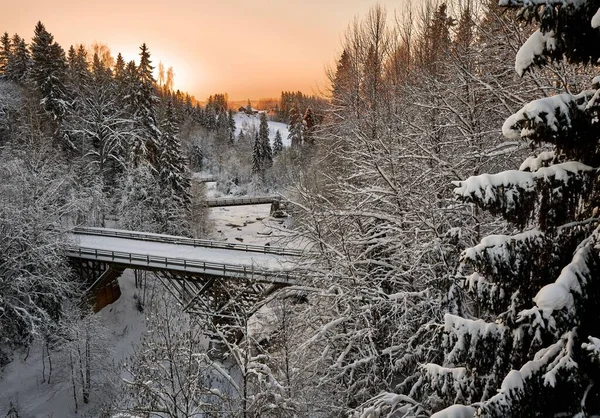 Висококутний Знімок Мостів Через Замерзлу Річку Лісі Взимку — стокове фото