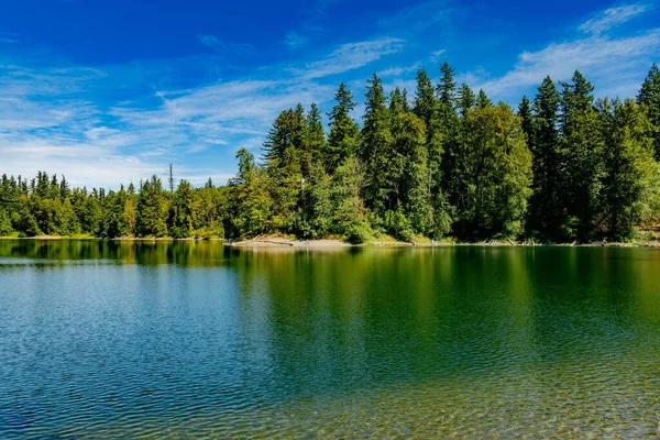 Мальовничий Знімок Озера Оточеного Деревами Відображають Поверхню Води Сонячний День — стокове фото