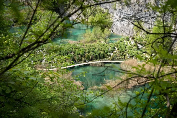 Beautiful Scenery Lakes Waterfalls Fresh Vegetation Plitvice Lakes National Park — Stock Photo, Image