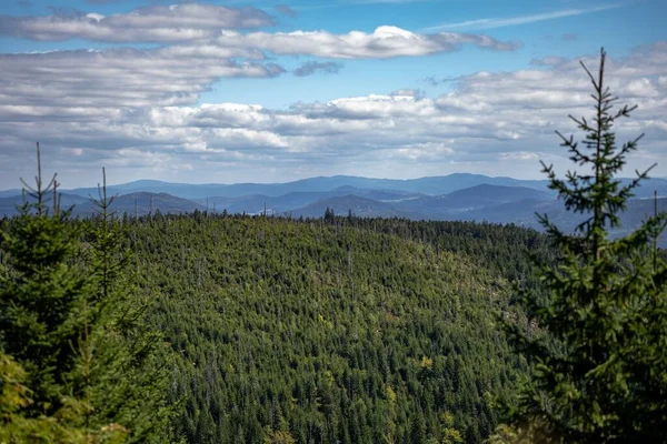 Die Dicht Grünen Bäume Mit Bergen Hintergrund Nationalpark Bayerischer Wald — Stockfoto