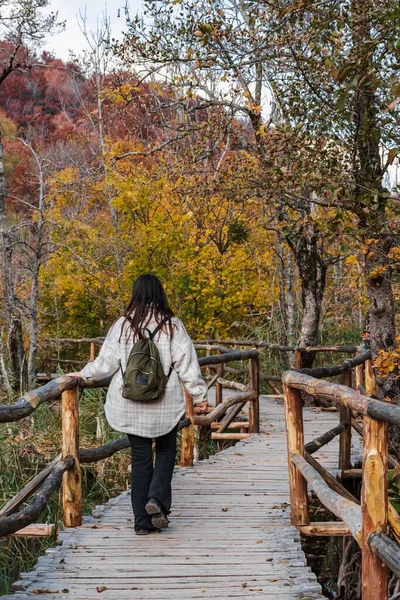 Mladá Žena Kráčející Dřevěném Mostě Obdivující Překrásný Žlutý Podzimní Les — Stock fotografie