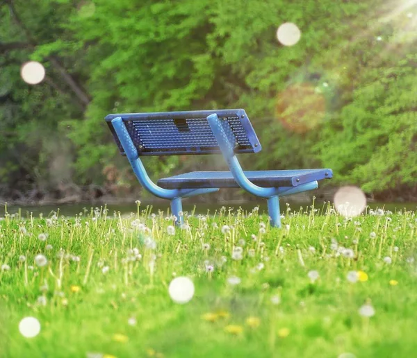 晴れた日に畑の青い金属製のベンチ — ストック写真
