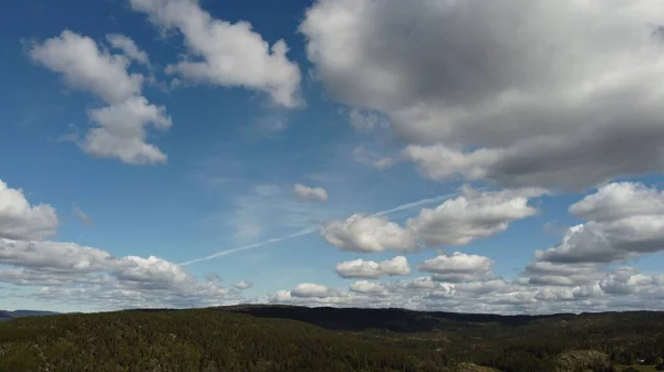 Stock image An aerial landscape of a forested hillside on a sunny day