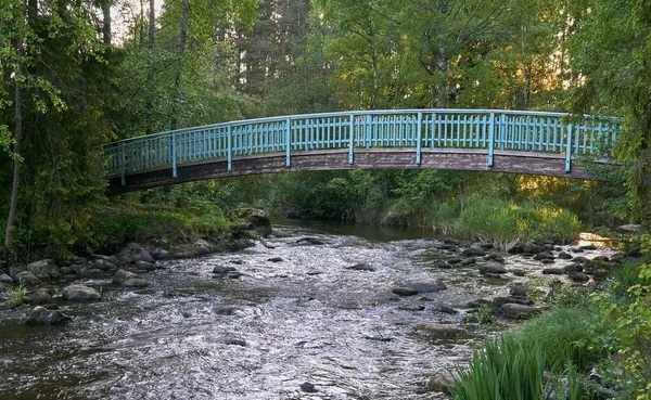 Drewniany Most Nad Spokojną Rzeką Otoczony Zielonymi Drzewami — Zdjęcie stockowe