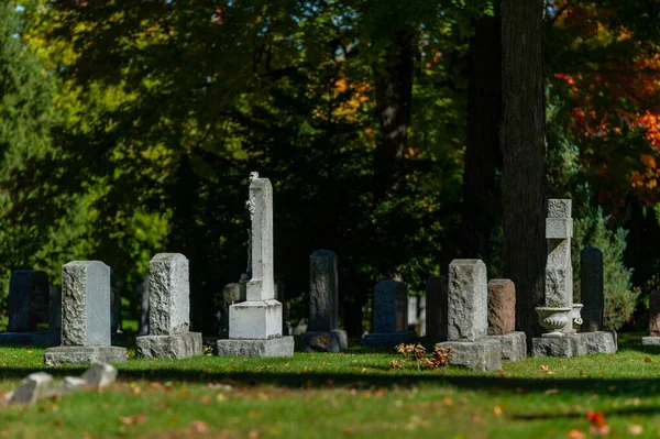 Beechwood Cemetery National Cemetery Canada Fall Season — стокове фото
