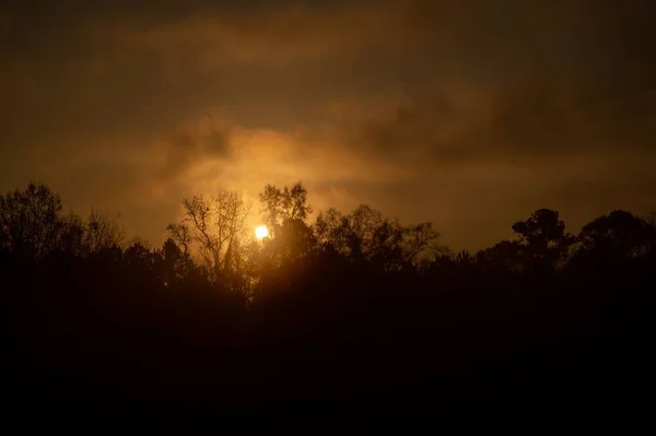 Malebný Pohled Západ Slunce Nad Lesem Venkově — Stock fotografie
