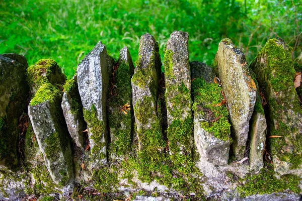 Rochas Musgosas Parque Verde — Fotografia de Stock