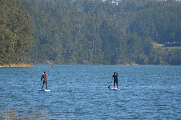 Two People Paddle Boarding Water Trees Background — Stock Photo, Image