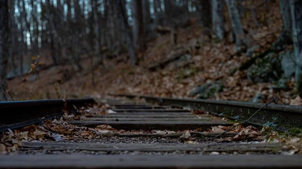 一张有木制靠背穿过秋天森林的旧铁轨的精选焦点照片 — 图库照片