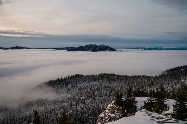 Bulutlardaki Karlı Dağda Bir Ormanın Resimli Bir Görüntüsü — Stok fotoğraf