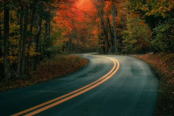 Asfaltová Cesta Procházející Podzimním Barevným Lesem Během Dne — Stock fotografie
