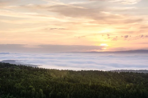 森の上の魅惑的な日の出と霧の毛布 — ストック写真