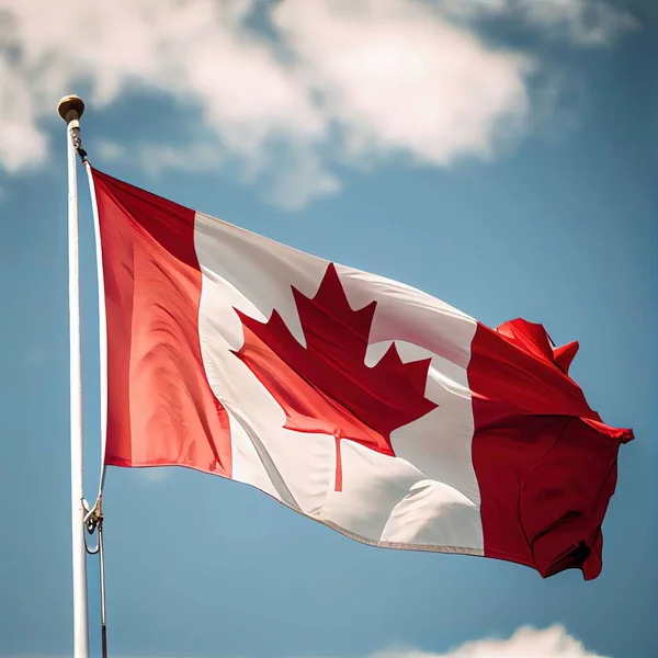 Kanada Bayrağı Bulutlu Bir Gökyüzünde Dalgalanıyor — Stok fotoğraf