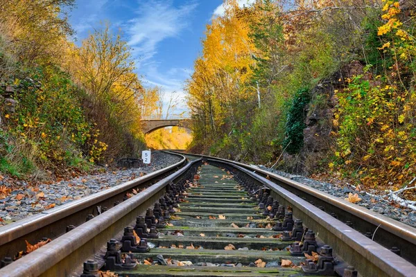 Θέα Μιας Σιδηροδρομικής Γραμμής Ένα Φαράγγι Που Οδηγεί Μια Γέφυρα — Φωτογραφία Αρχείου