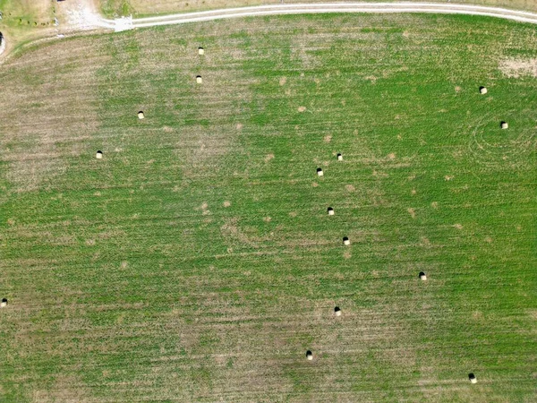 Eine Luftaufnahme Des Riesigen Ackerlandes Der Ungarischen Landschaft — Stockfoto