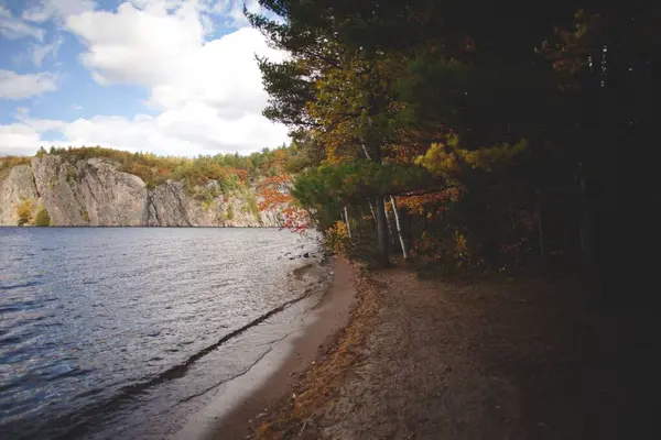 Красивый Вид Озеро Возле Леса Онтарио Канада — стоковое фото