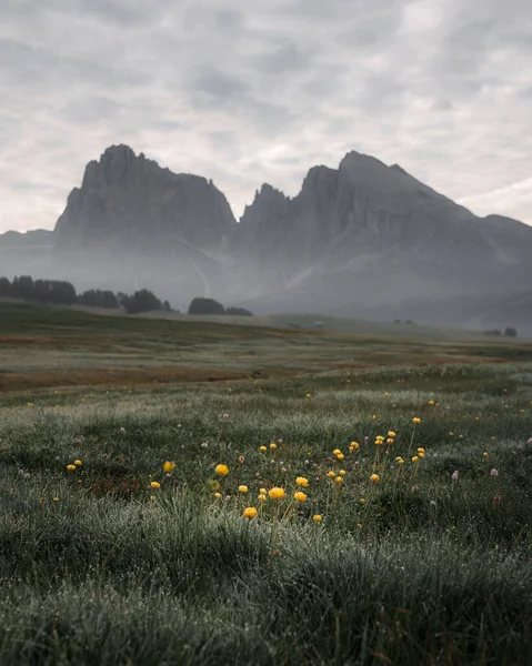 緑の野とイタリアの田舎の岩のドロマイトの山々の景色 — ストック写真