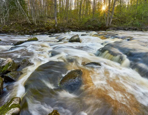 Río Que Corre Través Del Bosque Verde — Foto de Stock