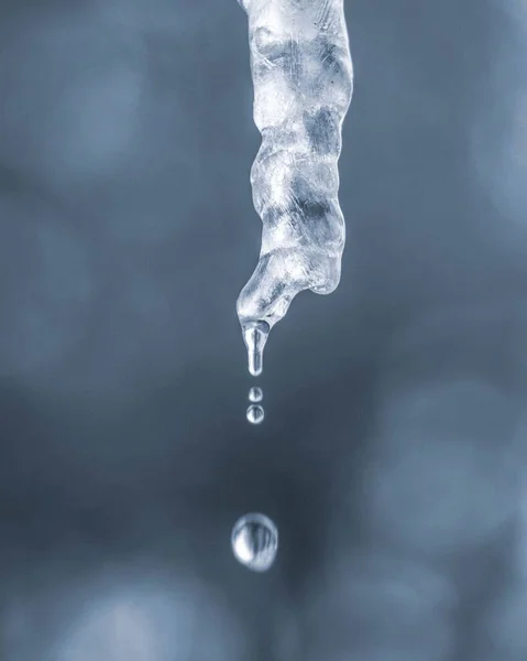 Buzdan Damlayan Suyun Dikey Görüntüsü Bulanık Bir Arkaplan Üzerine — Stok fotoğraf