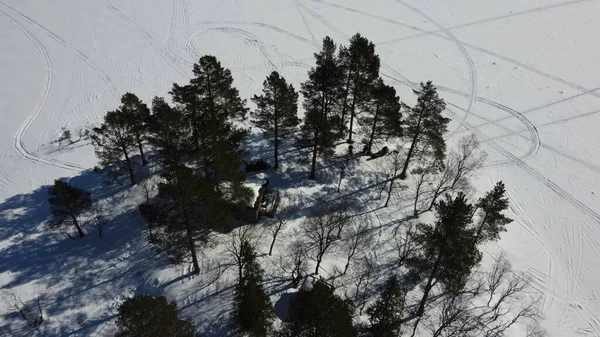 Ağaçlı Karlı Bir Tarlanın Havadan Görünüşü — Stok fotoğraf