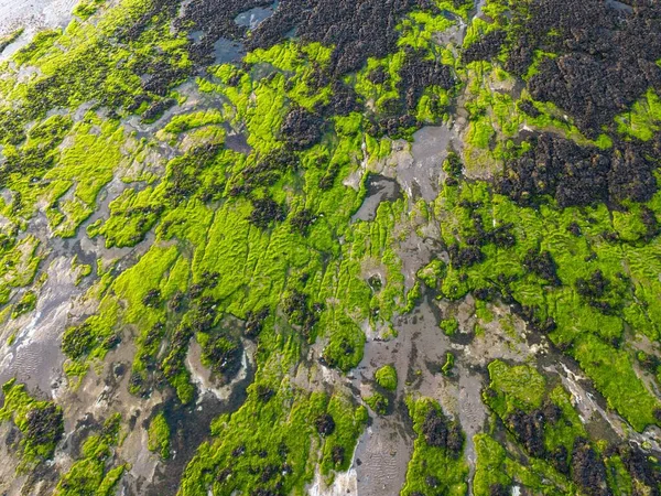 Piękny Widok Brzeg Morza Kolorze Zielonym Szarym Strzał Góry — Zdjęcie stockowe