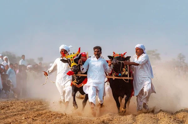 Punjab Falu Népe Fehér Ruhában Bull Karah Versenyen Vidéki Rendezvény — Stock Fotó