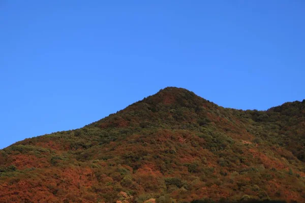 Krásná Scenérie Podzimní Tajgy Horách Pod Modrou Oblohou — Stock fotografie